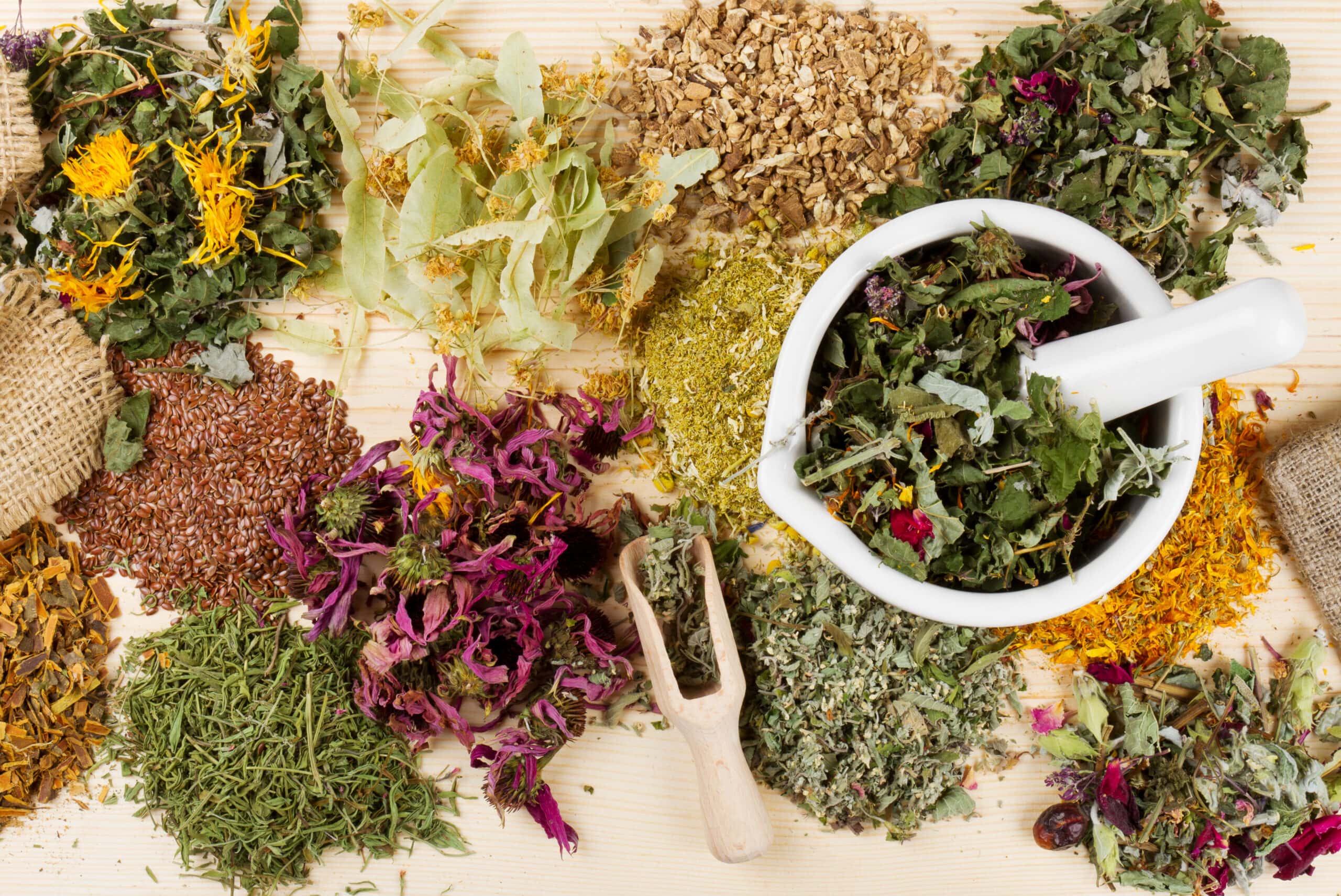 healing herbs on wooden table